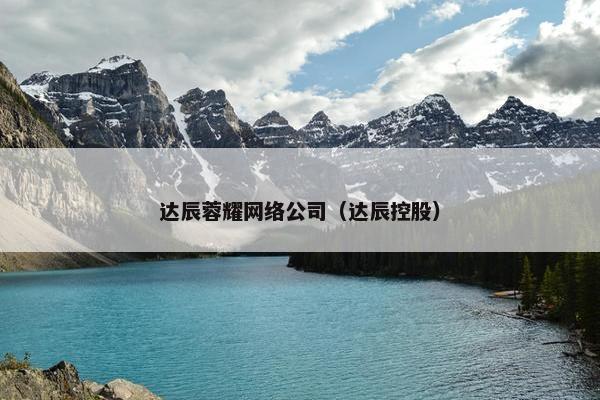 达辰蓉耀网络公司（达辰控股）