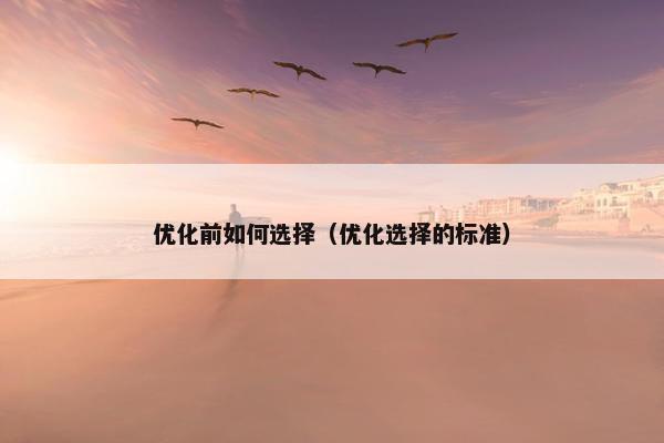 优化前如何选择（优化选择的标准）