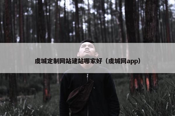 虞城定制网站建站哪家好（虞城网app）