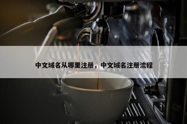 中文域名从哪里注册，中文域名注册流程