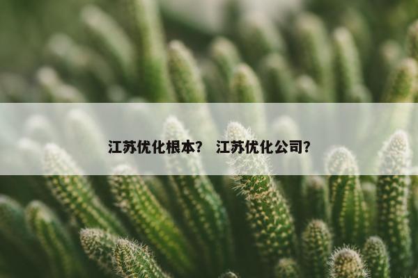 江苏优化根本？ 江苏优化公司？