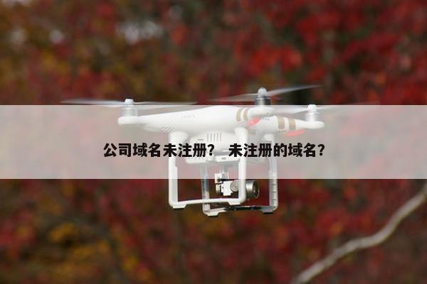 公司域名未注册？ 未注册的域名？