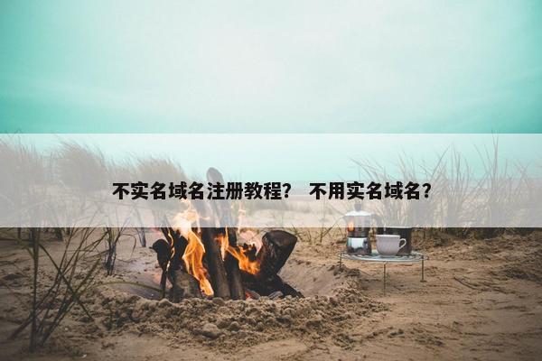 不实名域名注册教程？ 不用实名域名？