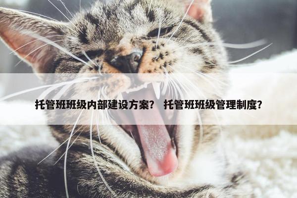托管班班级内部建设方案？ 托管班班级管理制度？