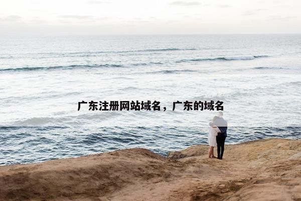 广东注册网站域名，广东的域名