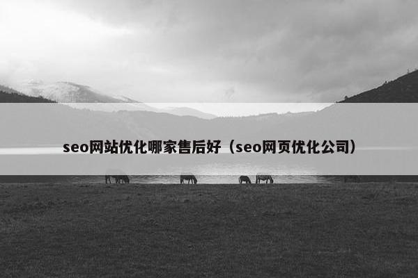 seo网站优化哪家售后好（seo网页优化公司）