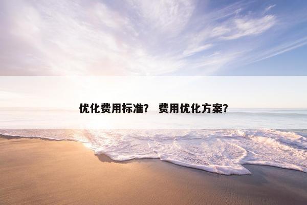 优化费用标准？ 费用优化方案？