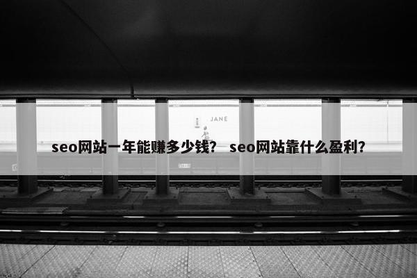 seo网站一年能赚多少钱？ seo网站靠什么盈利？