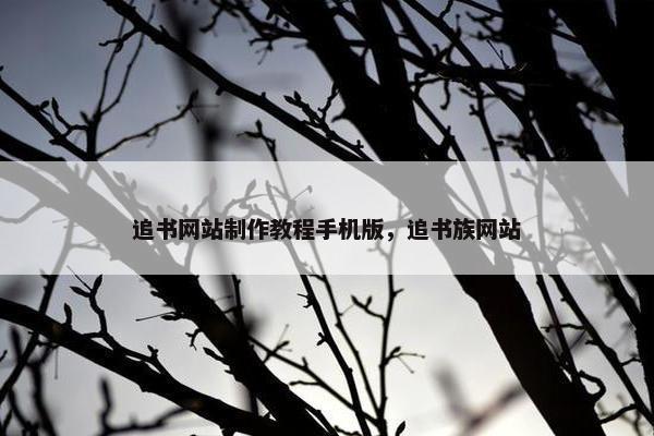追书网站制作教程手机版，追书族网站
