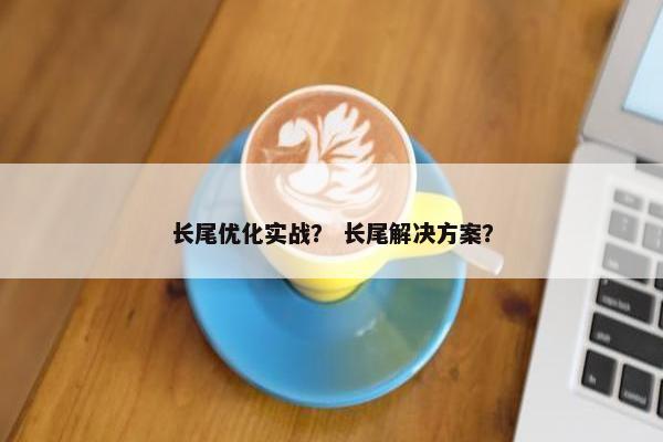 长尾优化实战？ 长尾解决方案？