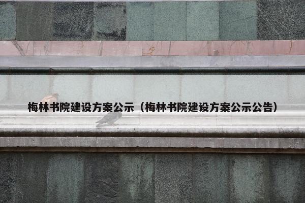 梅林书院建设方案公示（梅林书院建设方案公示公告）