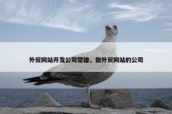 外贸网站开发公司楚雄，做外贸网站的公司