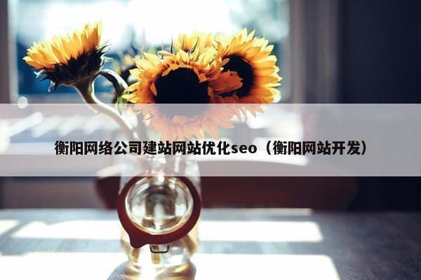 衡阳网络公司建站网站优化seo（衡阳网站开发）