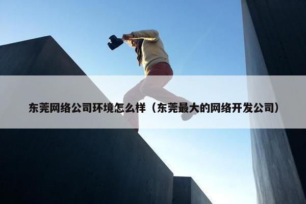 东莞网络公司环境怎么样（东莞最大的网络开发公司）