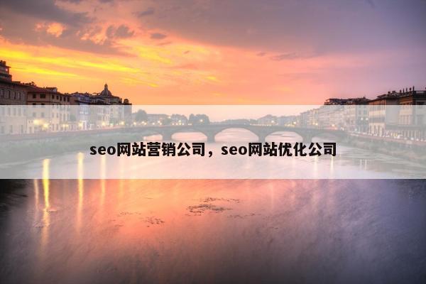 seo网站营销公司，seo网站优化公司