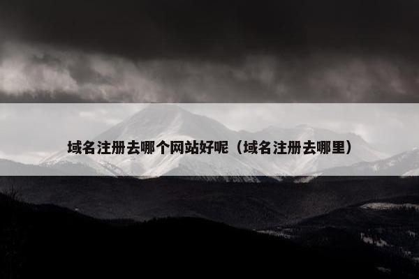 域名注册去哪个网站好呢（域名注册去哪里）
