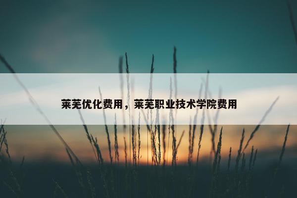 莱芜优化费用，莱芜职业技术学院费用