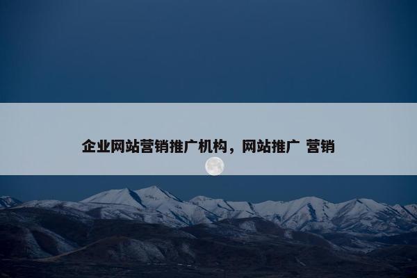 企业网站营销推广机构，网站推广 营销