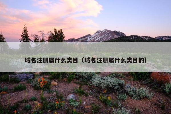 域名注册属什么类目（域名注册属什么类目的）