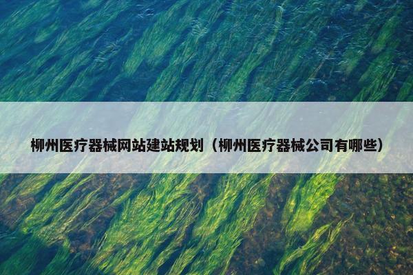 柳州医疗器械网站建站规划（柳州医疗器械公司有哪些）