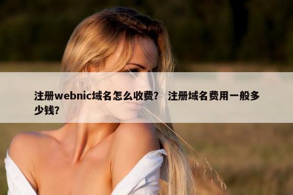 注册webnic域名怎么收费？ 注册域名费用一般多少钱？
