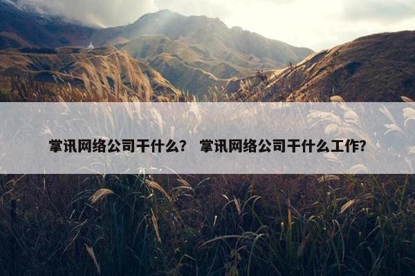 掌讯网络公司干什么？ 掌讯网络公司干什么工作？