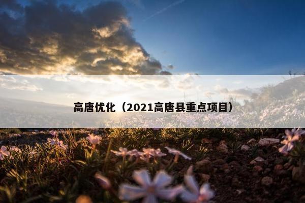 高唐优化（2021高唐县重点项目）