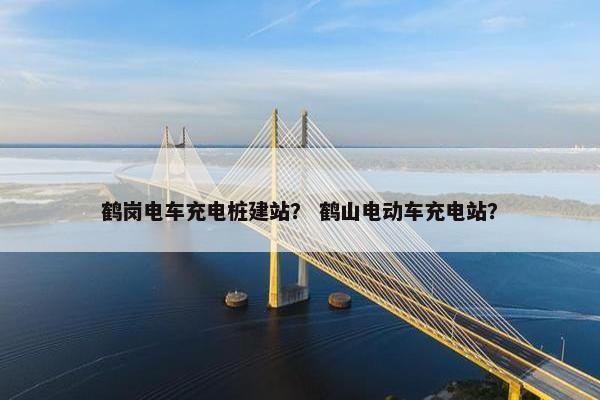 鹤岗电车充电桩建站？ 鹤山电动车充电站？