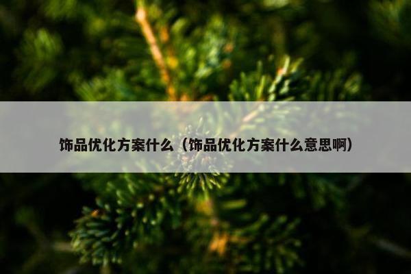 饰品优化方案什么（饰品优化方案什么意思啊）