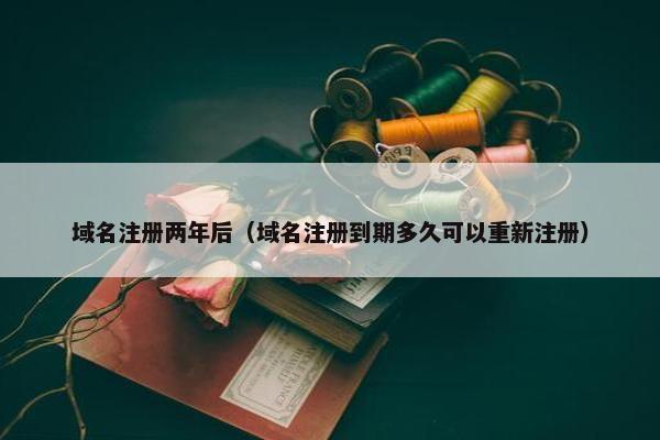 域名注册两年后（域名注册到期多久可以重新注册）
