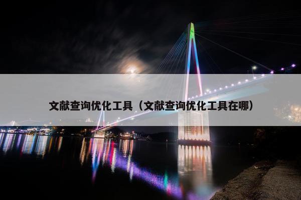 文献查询优化工具（文献查询优化工具在哪）
