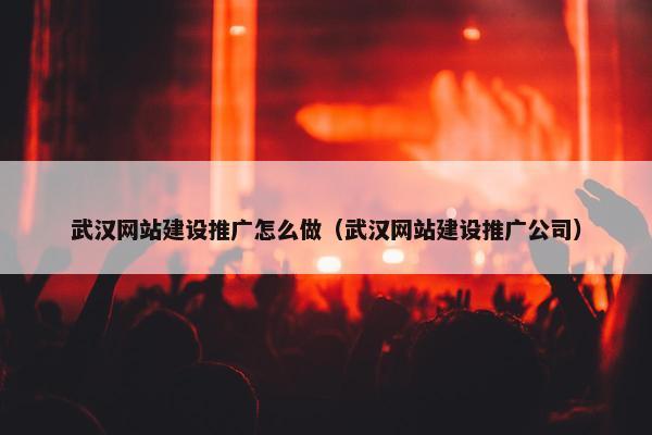 武汉网站建设推广怎么做（武汉网站建设推广公司）