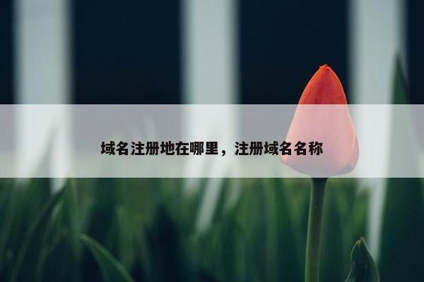 域名注册地在哪里，注册域名名称
