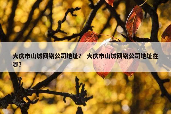 大庆市山城网络公司地址？ 大庆市山城网络公司地址在哪？