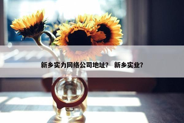 新乡实力网络公司地址？ 新乡实业？
