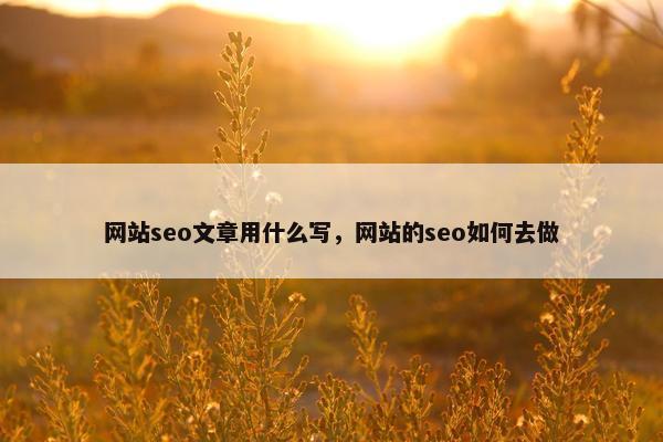 网站seo文章用什么写，网站的seo如何去做