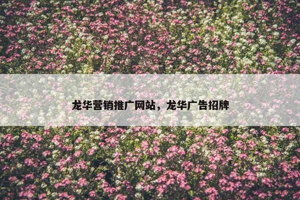 龙华营销推广网站，龙华广告招牌