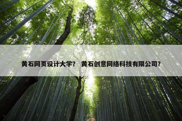 黄石网页设计大学？ 黄石创意网络科技有限公司？