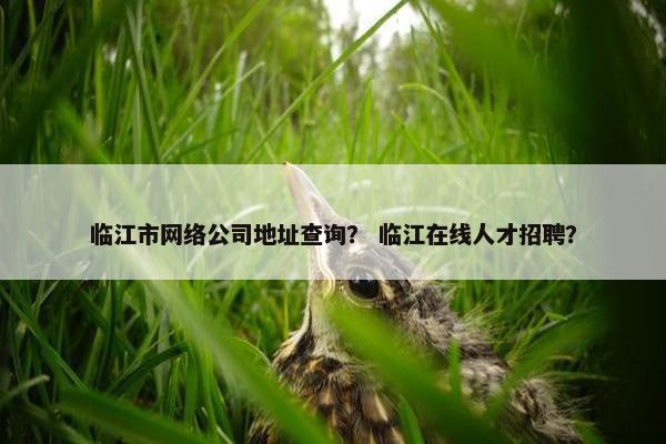 临江市网络公司地址查询？ 临江在线人才招聘？