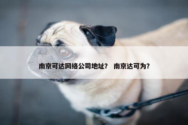 南京可达网络公司地址？ 南京达可为？