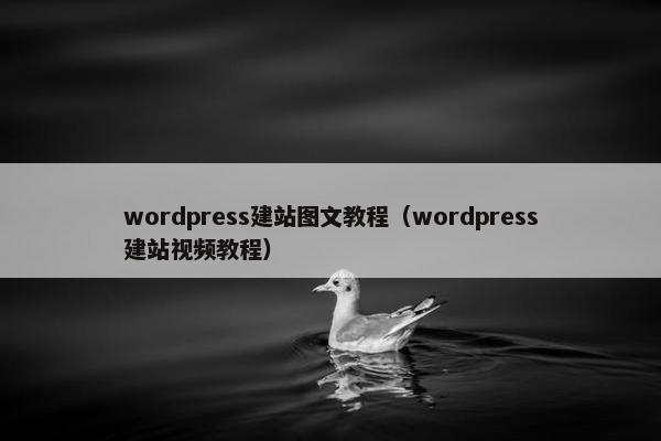 wordpress建站图文教程（wordpress建站视频教程）