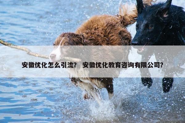 安徽优化怎么引流？ 安徽优化教育咨询有限公司？