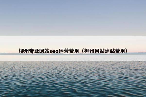 柳州专业网站seo运营费用（柳州网站建站费用）