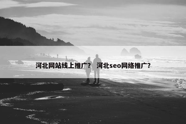河北网站线上推广？ 河北seo网络推广？