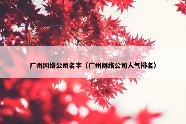 广州网络公司名字（广州网络公司人气排名）