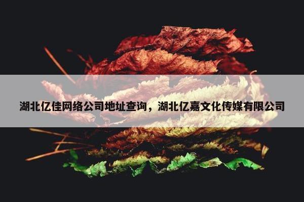 湖北亿佳网络公司地址查询，湖北亿嘉文化传媒有限公司