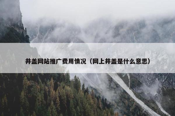 井盖网站推广费用情况（网上井盖是什么意思）