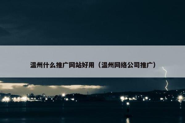 温州什么推广网站好用（温州网络公司推广）