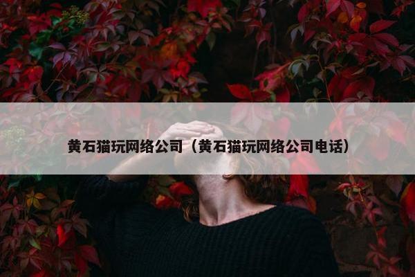 黄石猫玩网络公司（黄石猫玩网络公司电话）