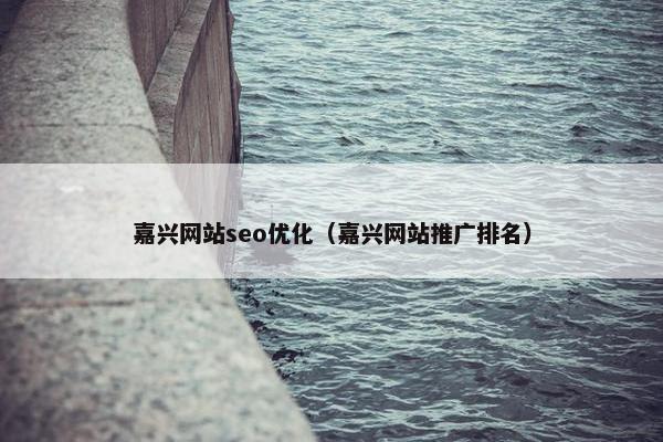 嘉兴网站seo优化（嘉兴网站推广排名）